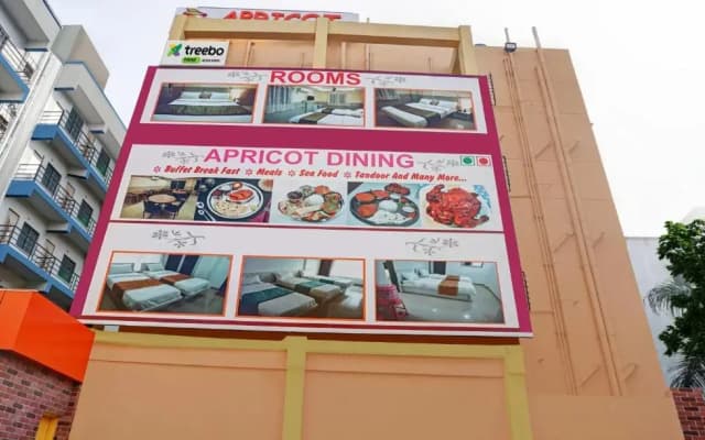 Treebo Empire Executive, Hinjewadi