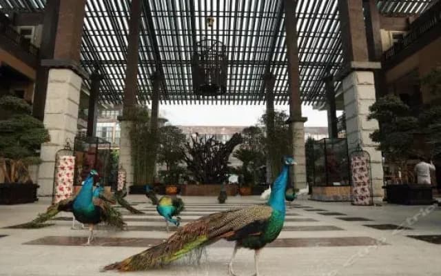 Tianci Huatang Forest Hot Spring Resort Hotel (Chongqing Lushan Branch)