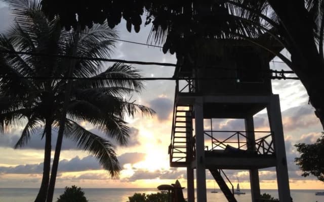 1511 Coconut Grove