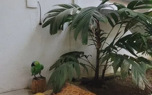 Pousada Paraty Graziela