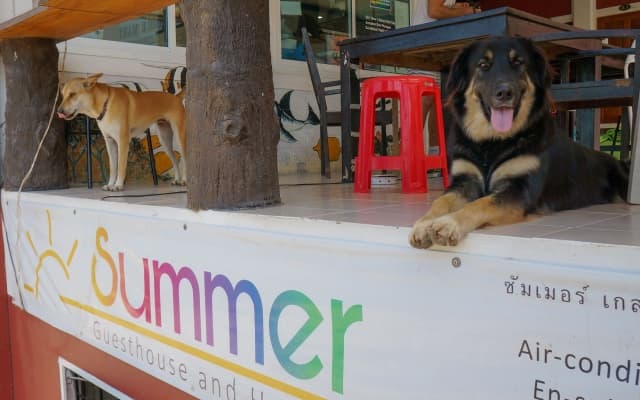 Summer Guesthouse & Hostel