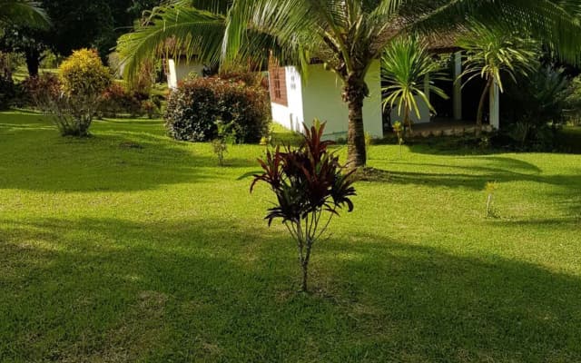 Phanom Bencha Mountain Resort