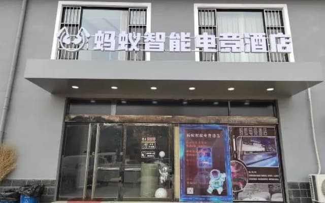 Ant Smart E-sports Homestay