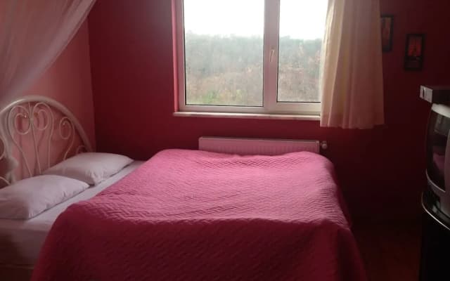 Agva Ormanevi Otel