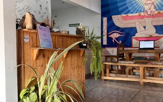 Kambô Surf House