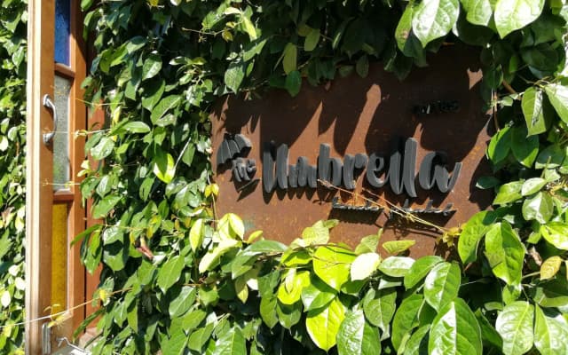 The Umbrella House