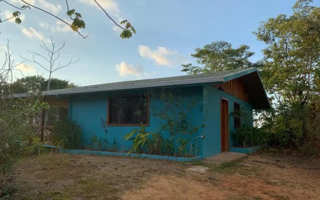 Room-villa With Primary Forest View