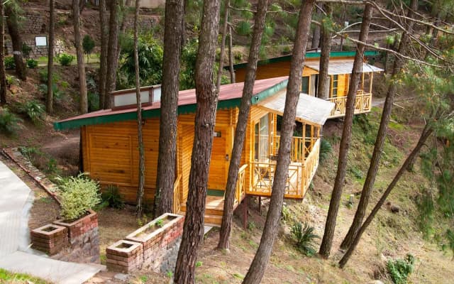 Kasauli Hills Resort