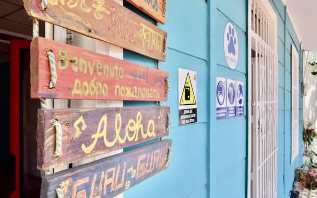 Mango Tree Hostel 4 20