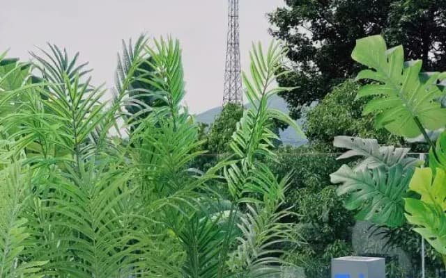 Fuyang Nanjuye She (Nanshan Bamboo Sea Branch)