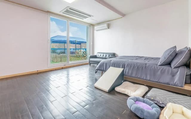 Chuncheon Dogandstay