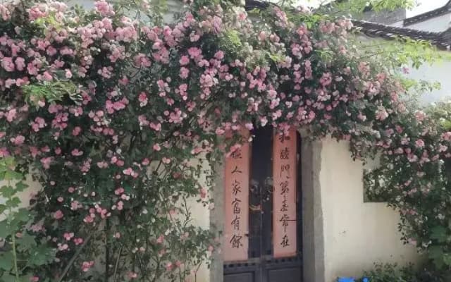 Chaji Jinling Zhijia