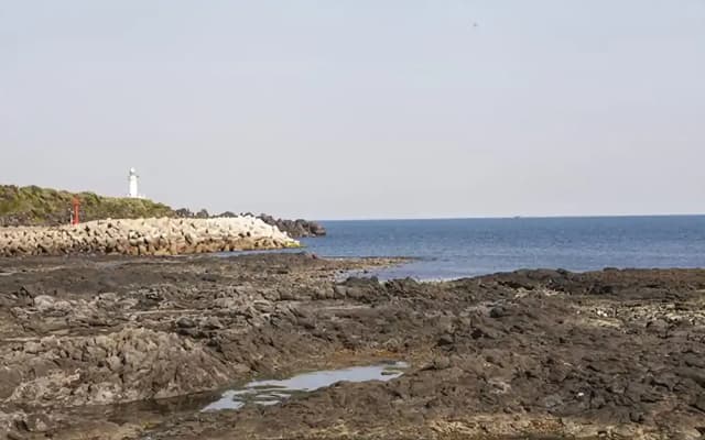 Seogwipo Getbawi Pension