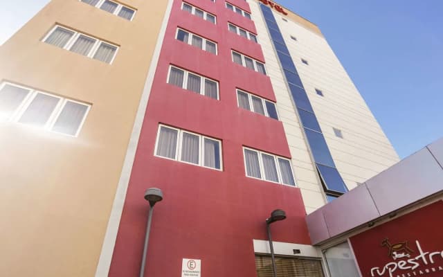 Ibis Teresina
