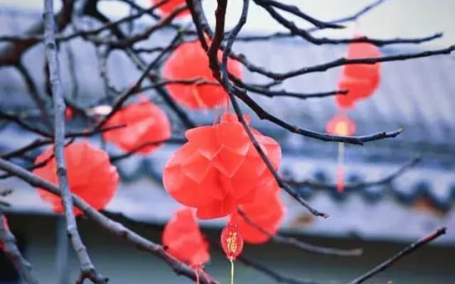 Shan Li Yun Boutique Hostel