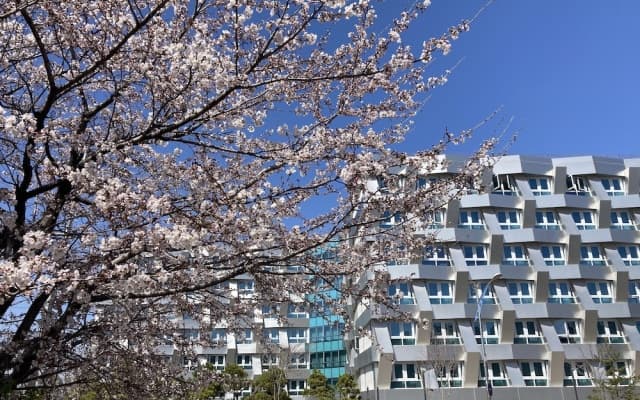 Sokcho Marina Bay hotel