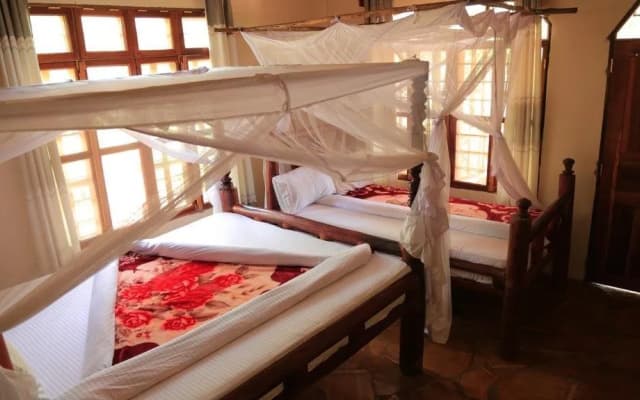 Mikumi Adventure Lodge