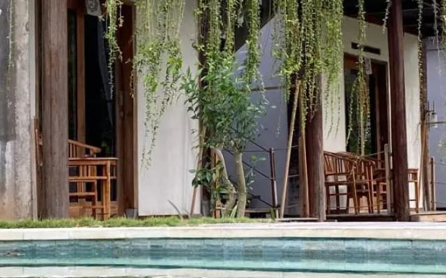 Tentacle Bali