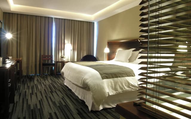 Hotel Dreams Valdivia