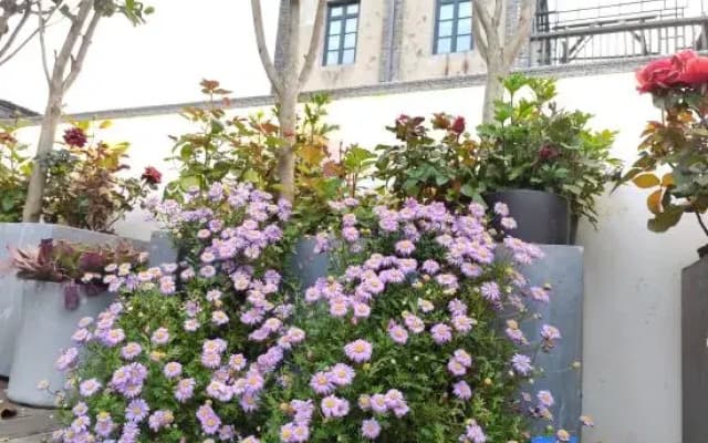 Youqi Boutique Hostel