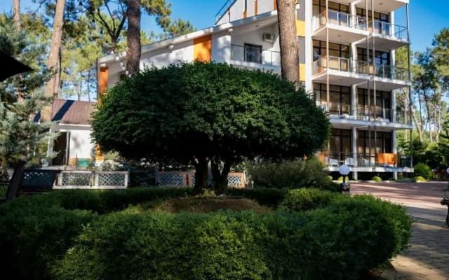 Buxus Hotel Shekvetili