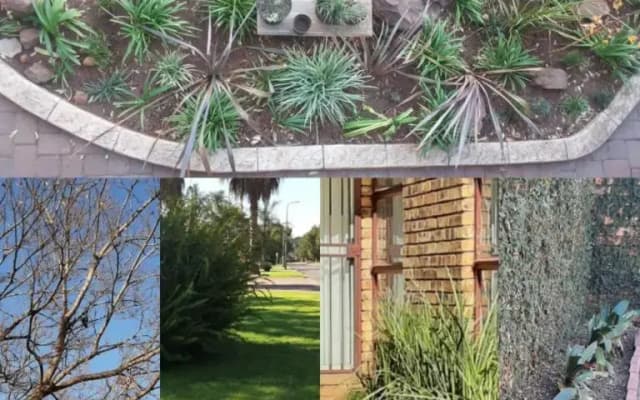 Aero Lodge Guest House