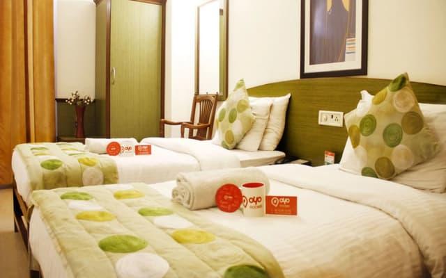Hotel Green Castle (Heritage Hotel)