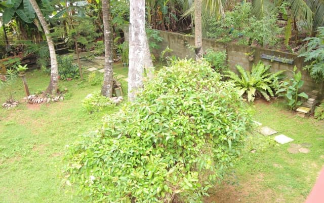 Osanda Guest