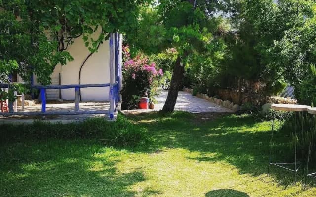 Zeytin Pansiyon Palamutbükü