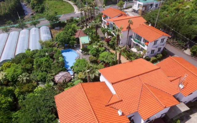 Seogwipobeautiful House Pension