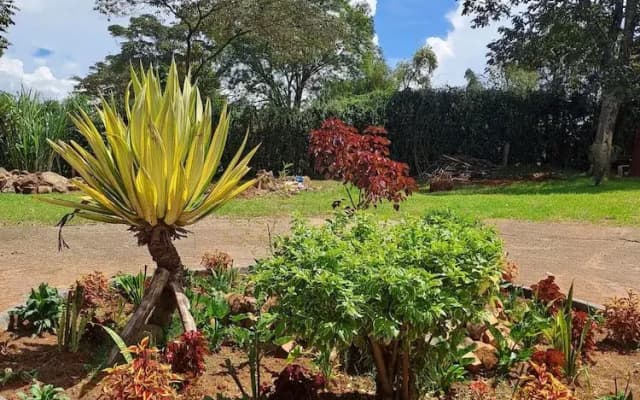 The Yala Home