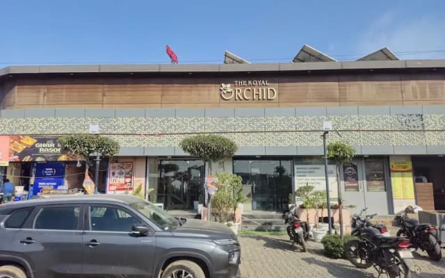 The Royal Orchid