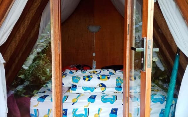ECO Bedugul adventurer camp
