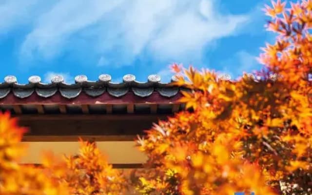Flower court in Lijiang