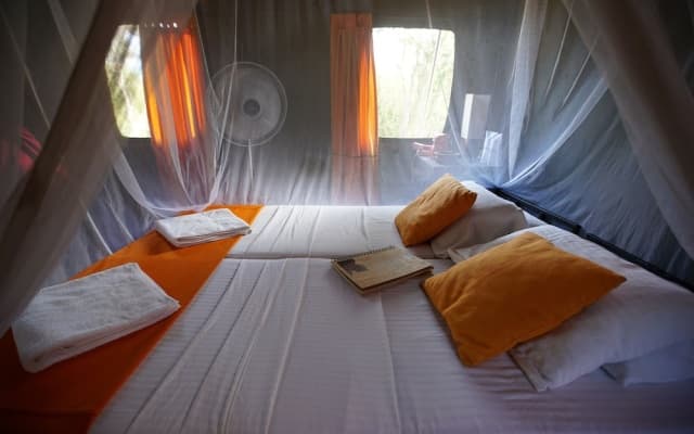 Explorer by Eco Team- Gal Oya National Park
