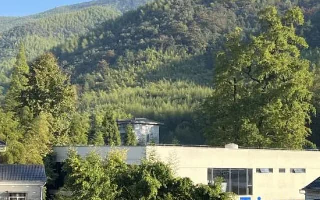 Mogan Mountain Living Map·Library Theme Guesthouse