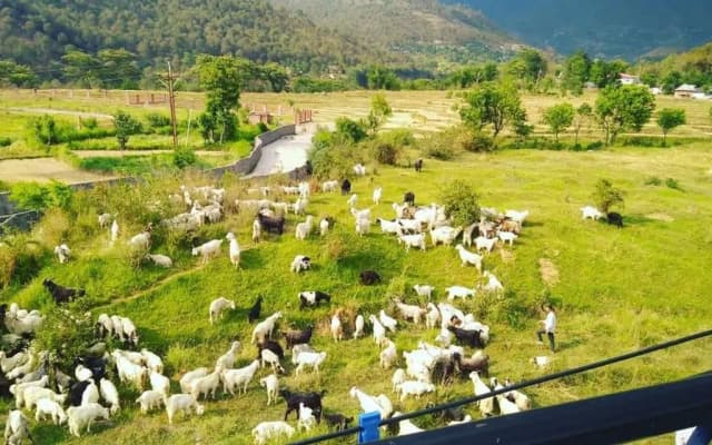 Himalayan Retreat