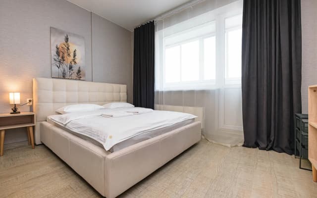 ДОМАНТ Романова, 60