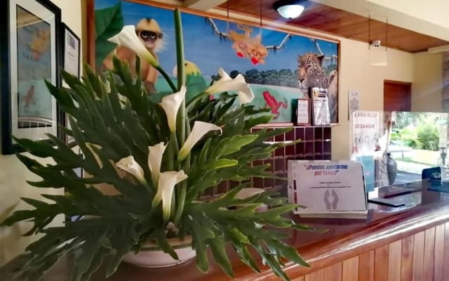 Hotel Amapola Resort