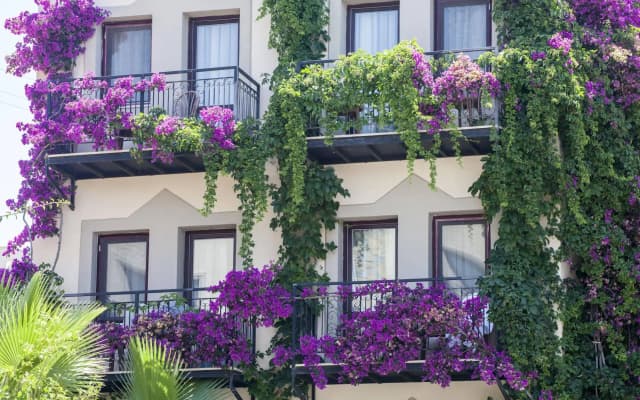 Golden Age Crystal Bodrum - All inclusive