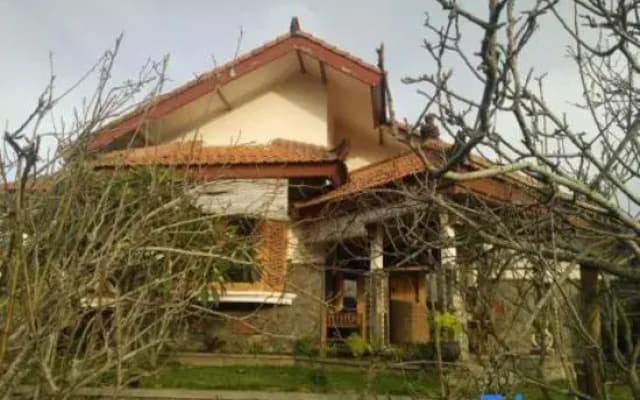 Shanty's House