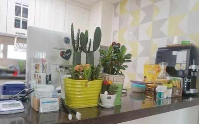 Jeju Shym Dream Guest House