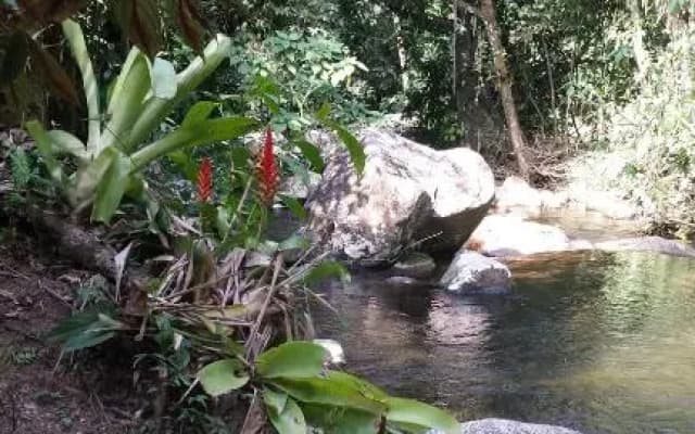 Casa da Cachoeira Grauna Paraty