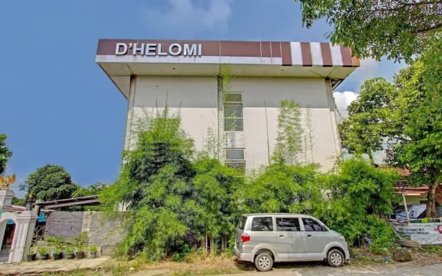 Collection O 90253 DHelomi