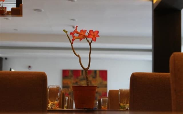 Top Star Hotel