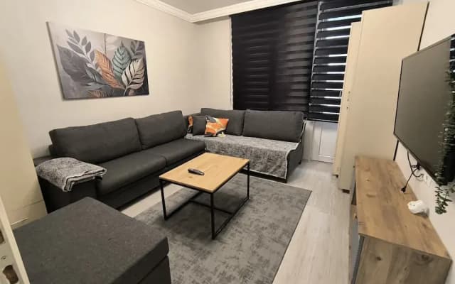 Masha Suite