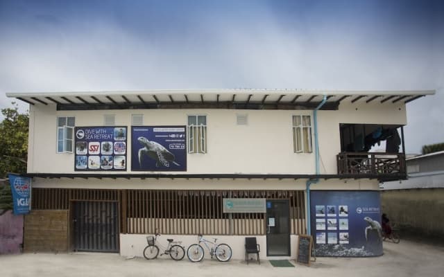 Surf Yoga Camp