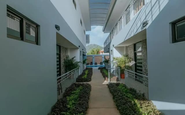 Havana jacó