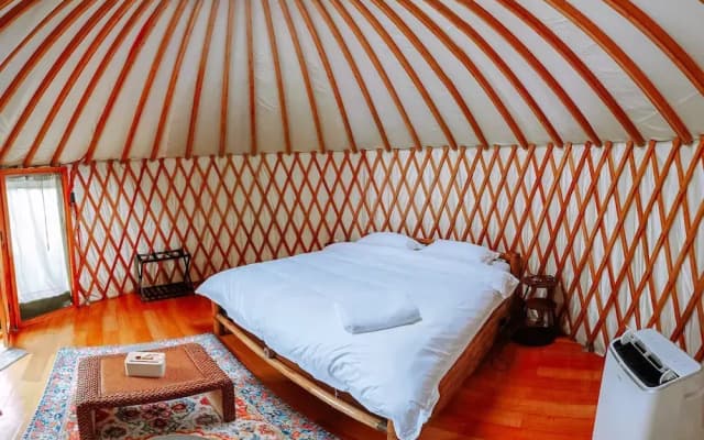 Nomad Yurts