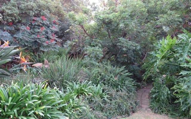 Green Pascua Guesthouse